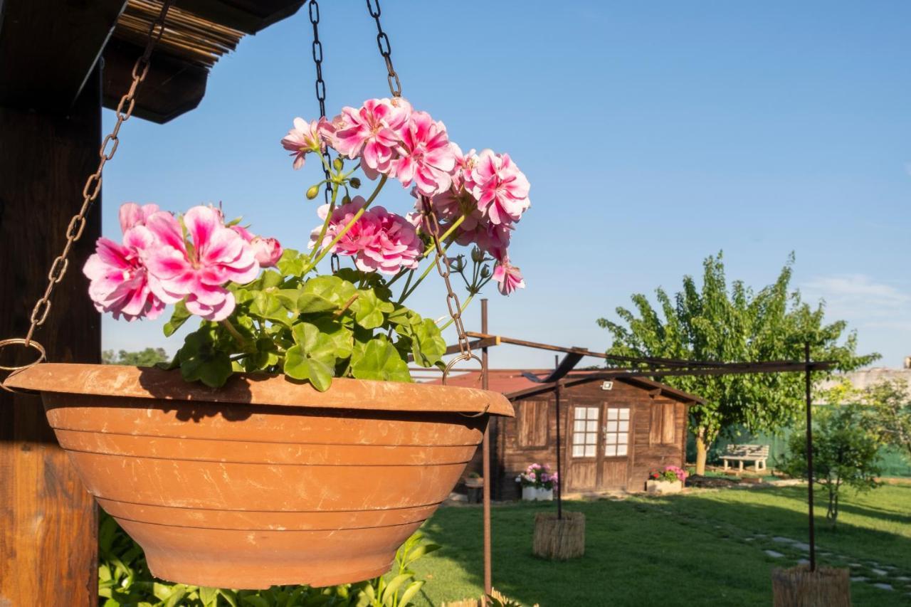 Bed and Breakfast A Lu Fanizza Кутрофьяно Экстерьер фото